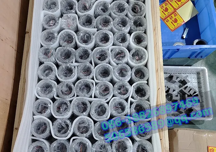 Rotor và Stator cán hội Manufacrtrer tại Trung Quốc